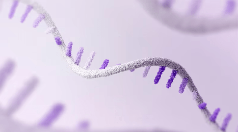 Mediating a Cure for&nbsp;Cancer!