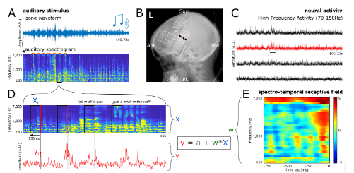 It’s Not Just Another Brick in the&nbsp;Wall!